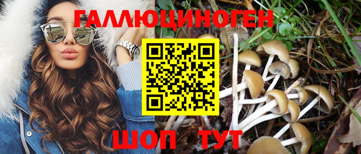 Барнаул  Псилоцибиновые грибы Magic Shrooms  Вход с VPN 